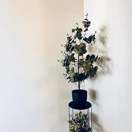 Сasa de vacaciones Mg